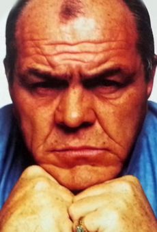 Ленни МакЛин