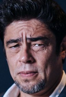 Бенисио Дель Торо