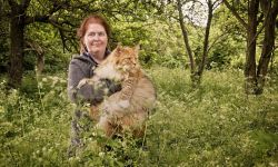 Фото №1 Салли Уэйнрайт