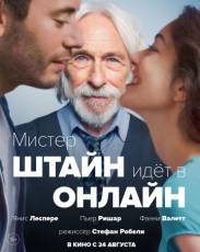 Мистер Штайн идёт в онлайн (2017)