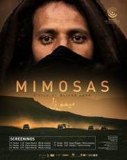 Мимозы (2016)