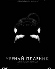 Черный плавник (2013)