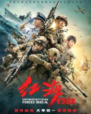 Операция в Красном море (2018)