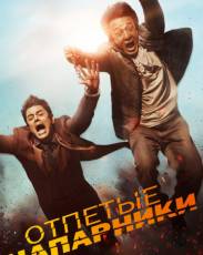 Отпетые напарники (2016)