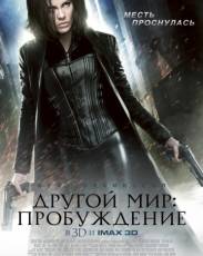 Другой мир 4: Пробуждение (2012)