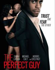 Идеальный парень (2015)