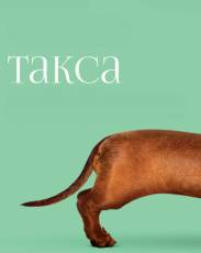 Такса (2015)