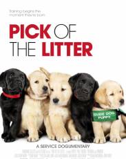 Выбор щенка (2018)