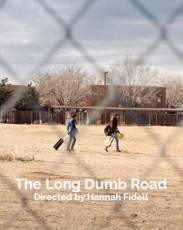 Долгая идиотская дорога (2018)