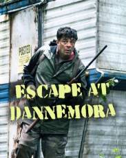 Побег из тюрьмы Даннемора