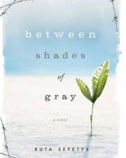 Пепел на снегу (2018)