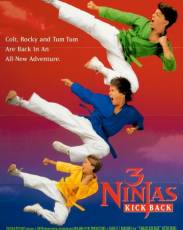 Три ниндзя 2 часть: Наносят ответный удар (1994)