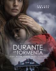 Во время грозы (2018)
