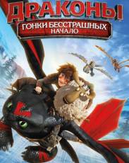 Драконы: Гонки бесстрашных. Начало (2014)