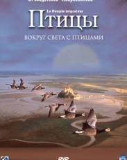 Птицы (2001)