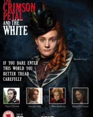 Багровый лепесток и белый