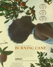 Горящий тростник (2019)